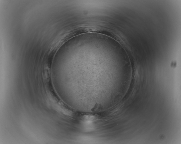 X0000111940169200907271421