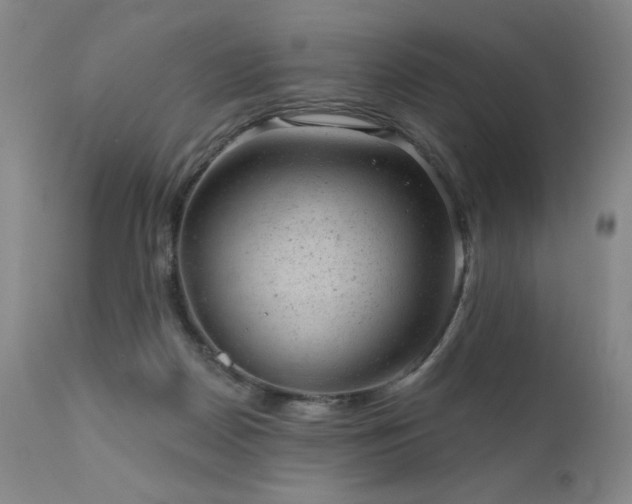 X0000111940170200907271421