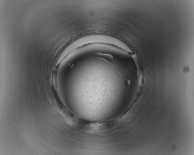 X0000111940172200907271421