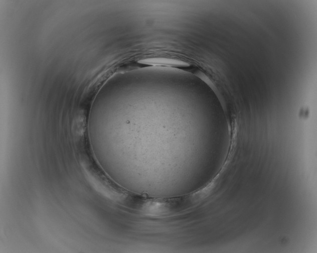 X0000111940174200907271421