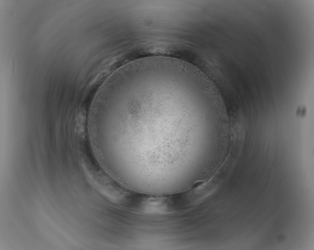 X0000111940175200907271421