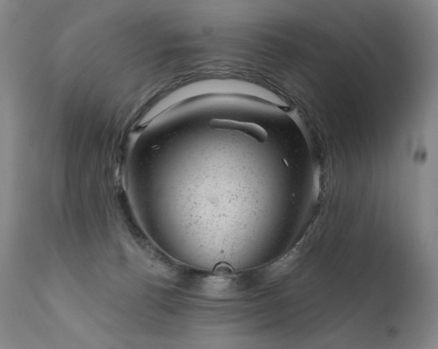 X0000111940176200907271421