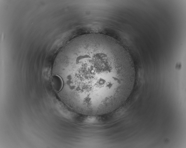 X0000111940177200907271421