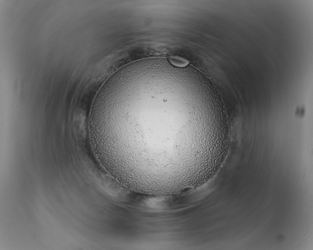 X0000111940178200907271421