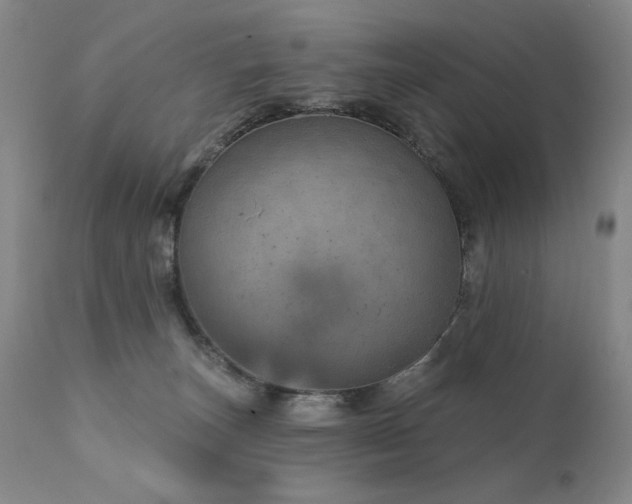 X0000111940179200907271421