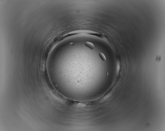 X0000111940180200907271421