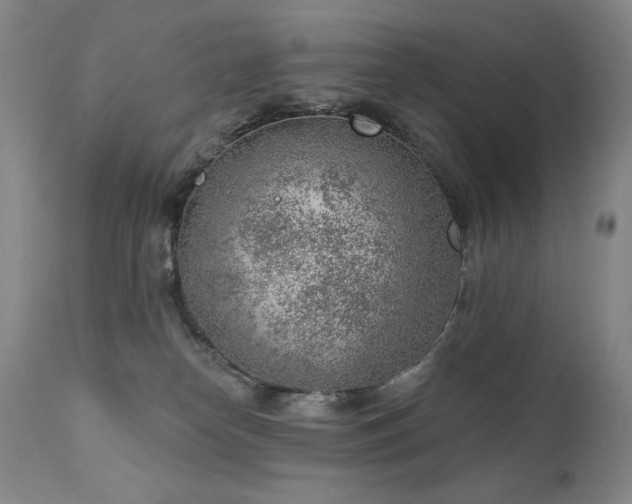 X0000111940182200907271421