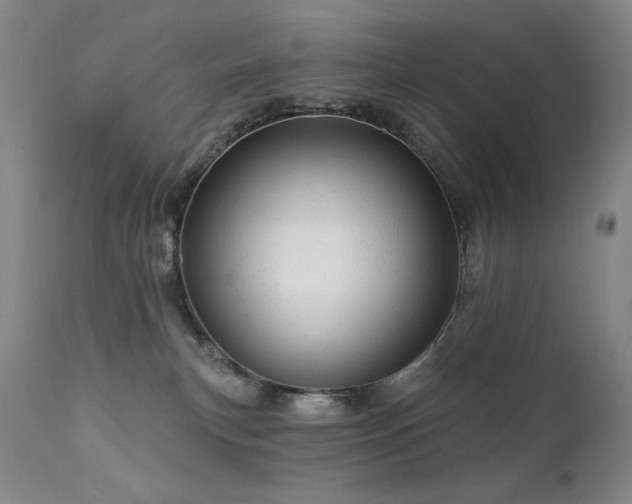 X0000111940183200907271422