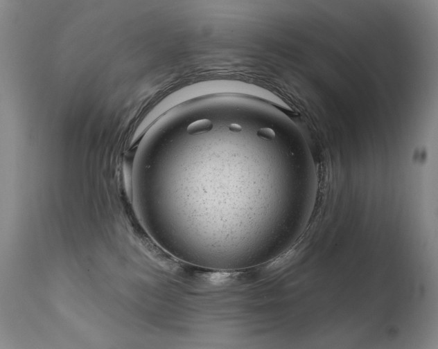 X0000111940184200907271422