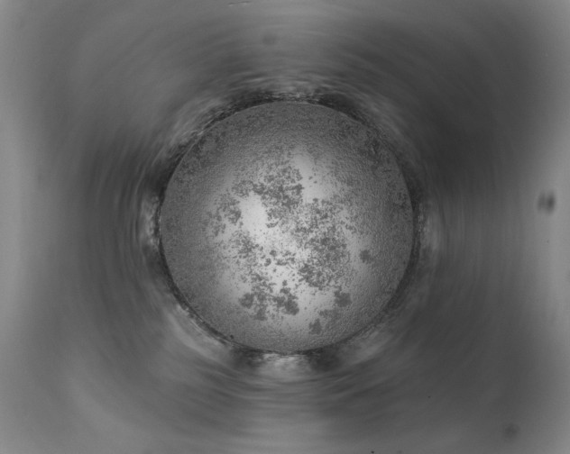 X0000111940185200907271422