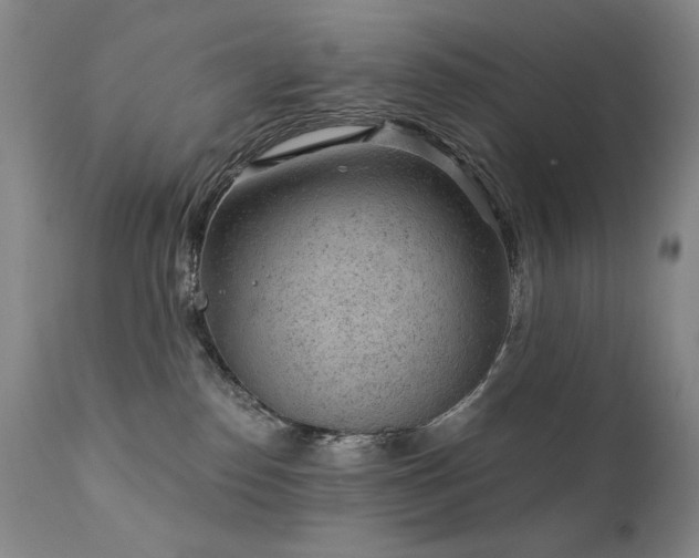 X0000111940186200907271422