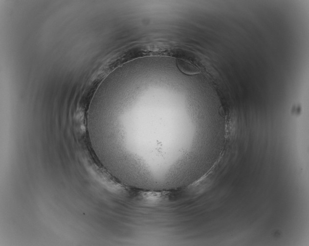 X0000111940187200907271422