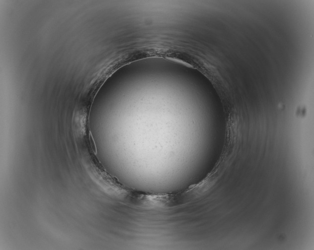 X0000111940188200907271422