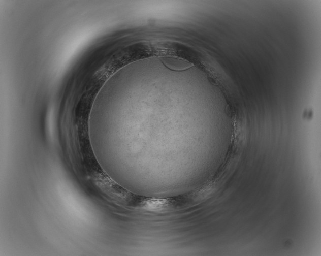 X0000111940189200907271422