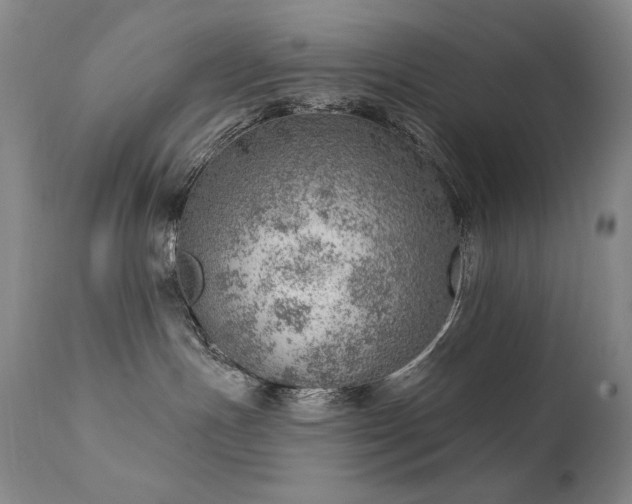 X0000111940191200907271422