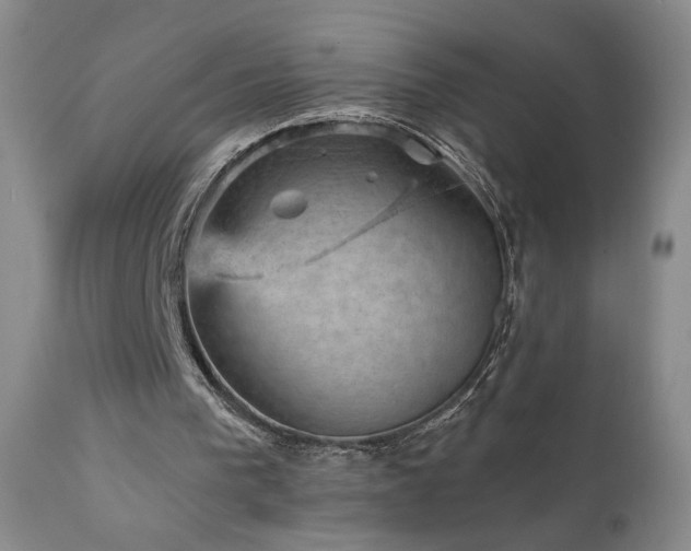 X0000111940193200907271421