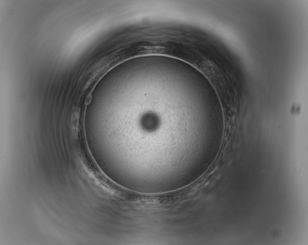 X0000111940194200907271421