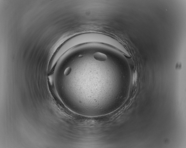 X0000111940195200907271421