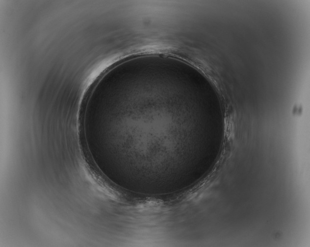 X0000111940196200907271421