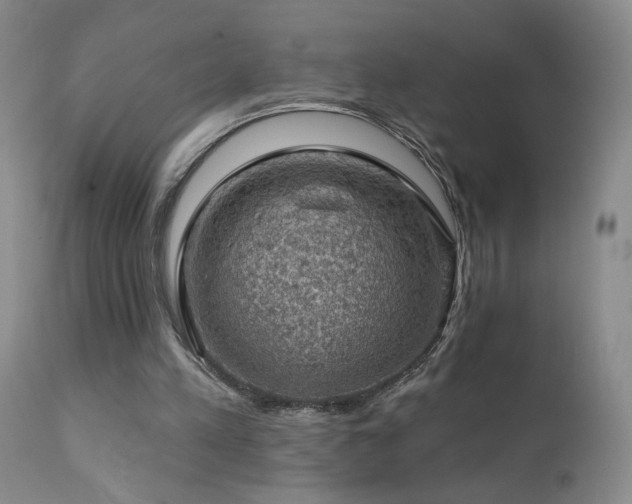 X0000111940197200907271421