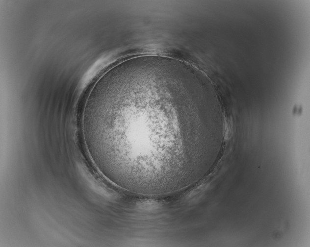 X0000111940198200907271421