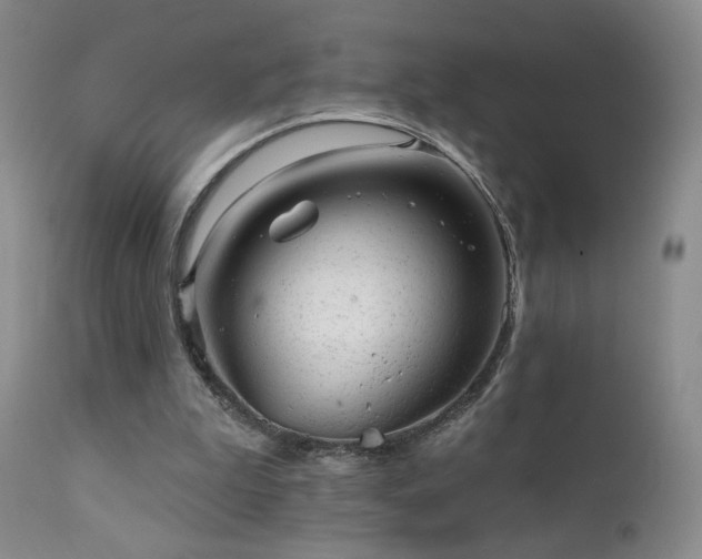 X0000111940199200907271421