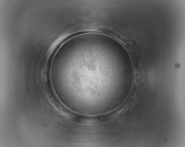 X0000111940200200907271421