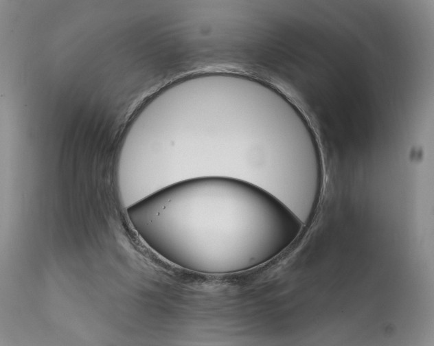 X0000111940201200907271421