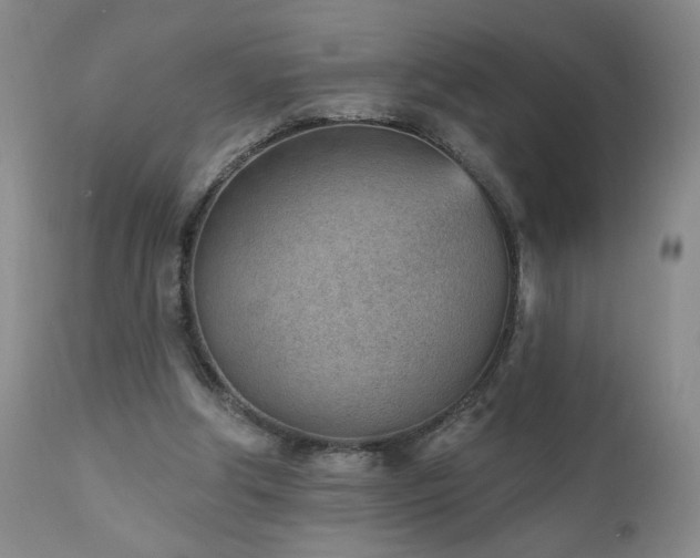 X0000111940202200907271421