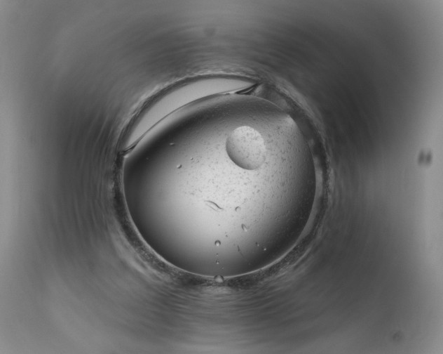 X0000111940203200907271421