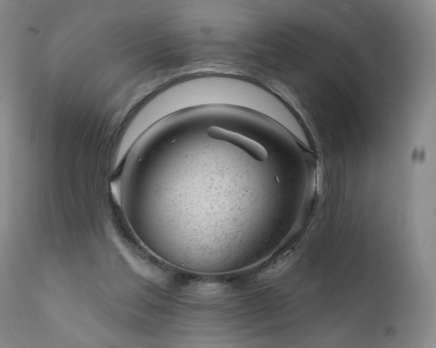 X0000111940205200907271421