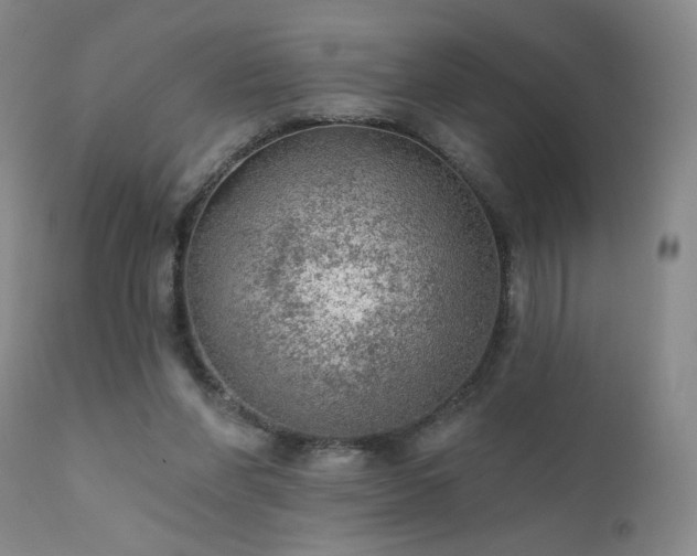 X0000111940206200907271421