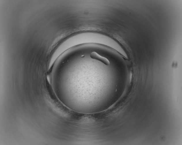 X0000111940207200907271421