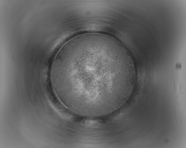 X0000111940208200907271421