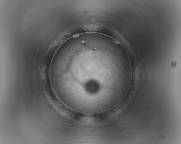 X0000111940209200907271421