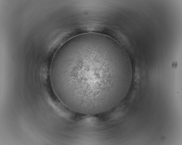 X0000111940210200907271421