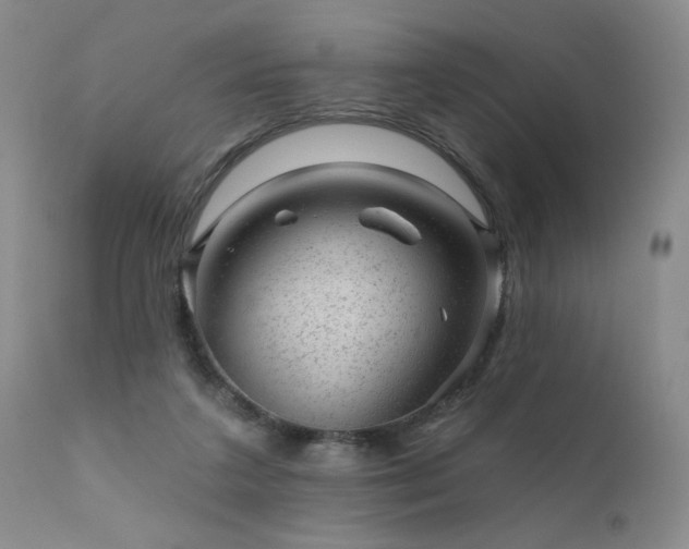 X0000111940211200907271421