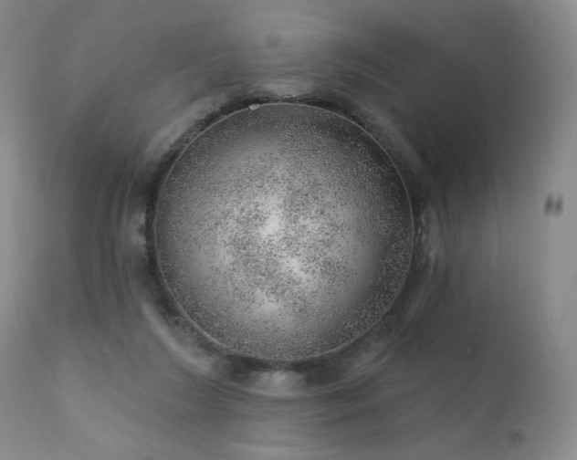 X0000111940212200907271421