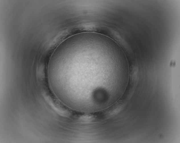 X0000111940213200907271421