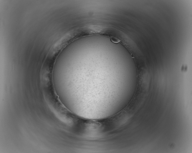 X0000111940215200907271420