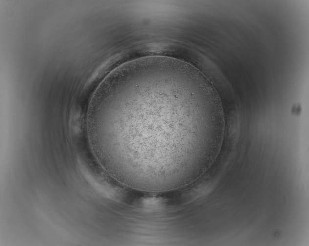 X0000111940216200907271420