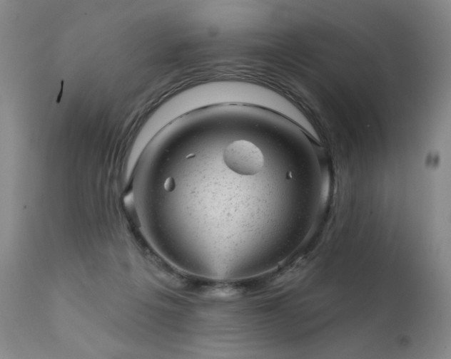 X0000111940217200907271420