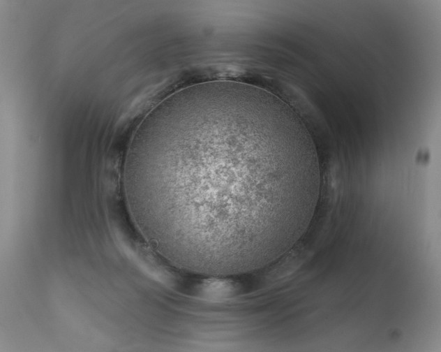 X0000111940218200907271420