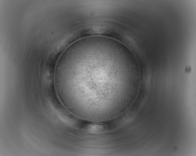 X0000111940220200907271420