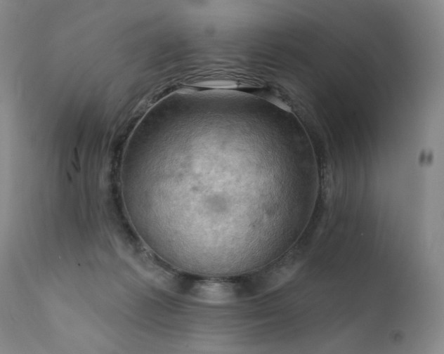 X0000111940221200907271420