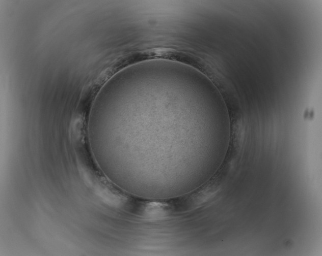 X0000111940222200907271420