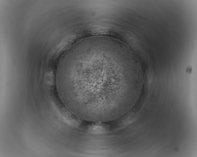 X0000111940224200907271420