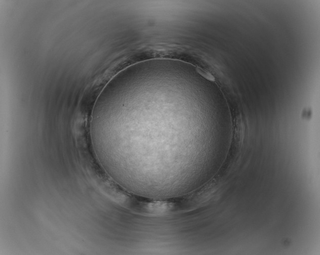 X0000111940225200907271420