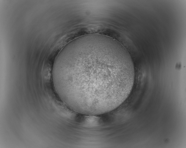 X0000111940226200907271420