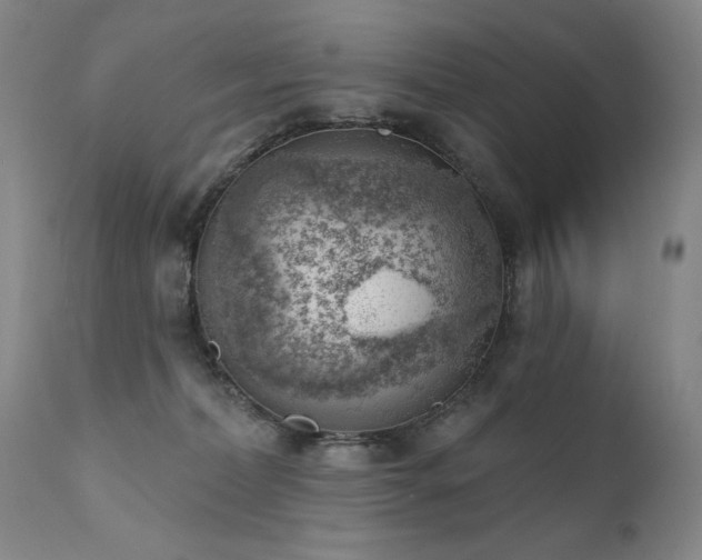 X0000111940228200907271420